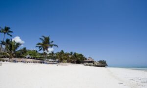 Karafuu Beach Resort Zanzibar gallery